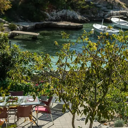 Sahara House Willa *